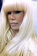 Milano Trans Nicole Vip Venturiny 353 35 38 868 foto selfie 805