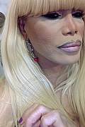 Milano Trans Escort Nicole Vip Venturiny 353 35 38 868 foto selfie 809