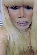 Milano Trans Escort Nicole Vip Venturiny 353 35 38 868 foto selfie 808