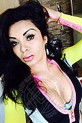 Milano Trans Escort Aida Armani 389 02 97 211 foto selfie 54