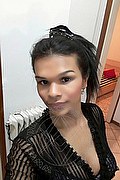 Milano Trans Escort Iris Bachi 380 65 40 324 foto selfie 83