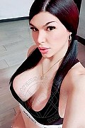 Pisa Trans Escort Alexia Baby 351 25 95 543 foto selfie 13