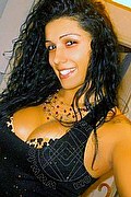Genova Trans Escort Melissa Baiana 329 24 64 336 foto selfie 141