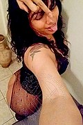 Genova Trans Melissa Baiana 329 24 64 336 foto selfie 115