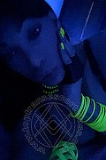 Verona Trans Escort Marcella Pops 351 29 33 730 foto selfie 30