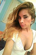 Biella Trans Escort Tracy Tx 331 32 34 162 foto selfie 6