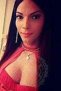 Cerese Di Virgilio Trans Escort Bruna Pellucci 339 88 28 649 foto selfie 69