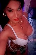 Padova Trans Escort Rosa Xxxl 328 74 36 345 foto selfie 66