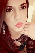 Vigonza Trans Escort Cristina 380 49 26 793 foto selfie 23