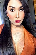 Brescia Trans Escort Kettley Lovato 376 13 62 288 foto selfie 13