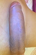 Perugia Trans Sandy Fox 366 17 07 554 foto selfie 41