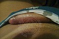 Perugia Trans Sandy Fox 366 17 07 554 foto selfie 38