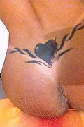 Perugia Trans Sandy Fox 366 17 07 554 foto selfie 23