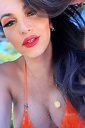 Settimo Torinese Trans Escort Raphaella Ferrari Pornostar 388 24 13 533 foto selfie 14