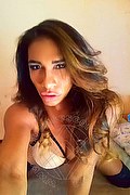 Milano Trans Escort Liss 350 90 27 773 foto selfie 4