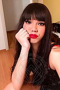 Milano Trav Escort Ella Asiatica 392 64 03 166 foto selfie 2