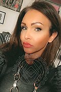 Treviso Trans Valeria 338 87 18 849 foto selfie 242