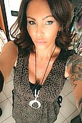Treviso Trans Valeria 338 87 18 849 foto selfie 240