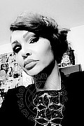 Treviso Trans Valeria 338 87 18 849 foto selfie 237