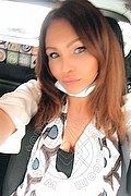 Treviso Trans Valeria 338 87 18 849 foto selfie 236