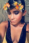 Torino Trans Escort Miles Asiatica 389 59 90 332 foto selfie 9