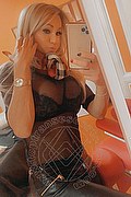 Villorba Trans Escort Pamy La Diva Stellare 324 78 19 703 foto selfie 415