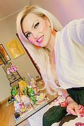 Biella Trans Escort Mary Blond 371 33 34 883 foto selfie 23