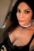 Cerese Di Virgilio Trans Escort Bruna Pellucci 339 88 28 649 foto selfie 56
