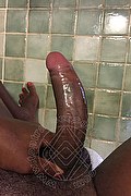 Firenze Trans Escort Bruna Ferragni 338 59 31 655 foto selfie 298