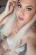 Viareggio Trans Dafne Pornostar 380 14 22 205 foto selfie 21