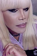 Milano Trans Escort Nicole Vip Venturiny 353 35 38 868 foto selfie 792
