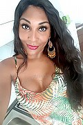 Biella Trans Escort Thalita Top Xxxl 388 48 85 062 foto selfie 16