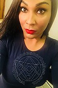 Biella Trans Escort Thalita Top Xxxl 388 48 85 062 foto selfie 13