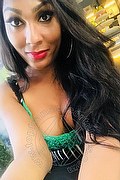 Biella Trans Escort Thalita Top Xxxl 388 48 85 062 foto selfie 11