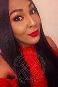 Perugia Trans Escort Thalita Top Xxxl 388 48 85 062 foto selfie 4