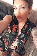 Treviso Trans Valeria 338 87 18 849 foto selfie 228