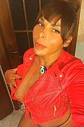 Milano Trans Sheila Lamborghini 344 01 49 006 foto selfie 62