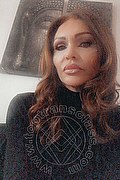 Treviso Trans Valeria 338 87 18 849 foto selfie 224