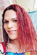 Gorizia Trans Morenna 324 60 08 566 foto selfie 7