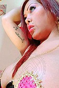 Verbania Trans Escort Gyselle Pires 327 33 86 244 foto selfie 44