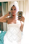 Padova Trans Rosa Xxxl 328 74 36 345 foto selfie 63