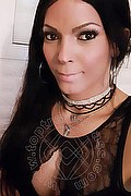 Cerese Di Virgilio Trans Bruna Pellucci 339 88 28 649 foto selfie 34