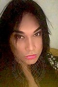 Bordighera Trav Danny Xl 351 06 89 893 foto selfie 1