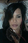 Torino Trans Escort Luana Rodrigues 380 19 71 173 foto selfie 17