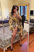 Alba Adriatica Trans Escort Emme 333 16 48 972 foto selfie 104