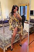 Alba Adriatica Trans Emme 333 16 48 972 foto selfie 121