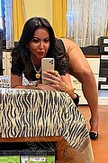 Alba Adriatica Trans Emme 333 16 48 972 foto selfie 107