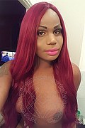 Milano Trans Escort Bianca Nera 328 47 09 555 foto selfie 1