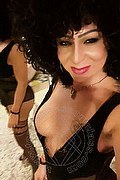 Gallarate Trans Escort Daysy 339 33 89 602 foto selfie 11