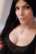 Cerese Di Virgilio Trans Bruna Pellucci 339 88 28 649 foto selfie 26